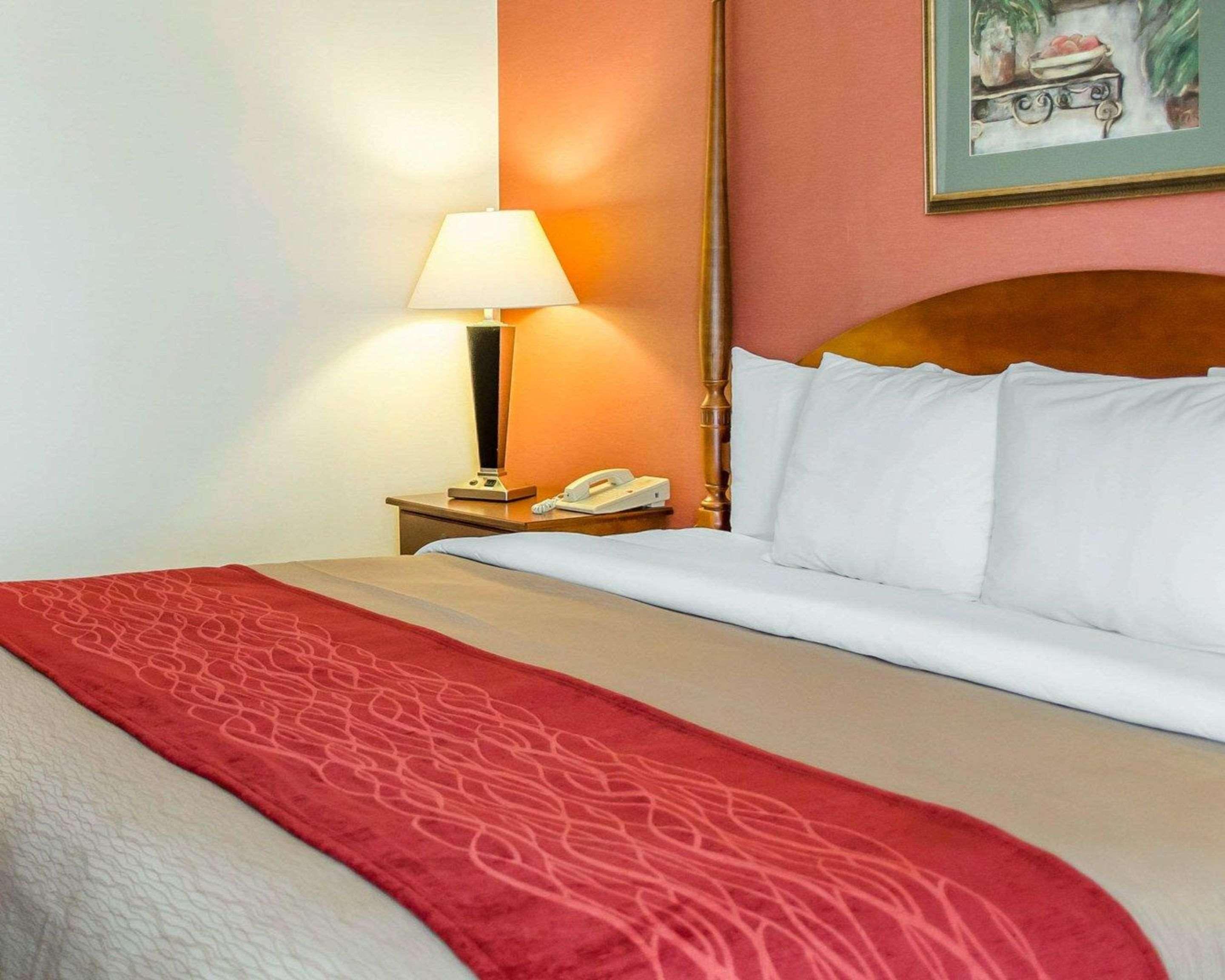 Comfort Inn & Suites York Exterior photo